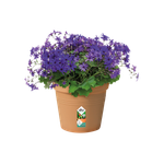 green basics pot de culture 27cm terre cuite doux